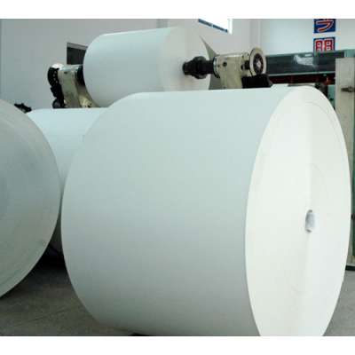 Hot sell PE coated paper in roll Pe coated paper roll for making paper cups