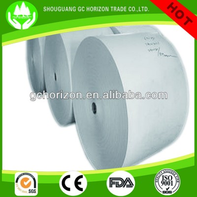 White Coated 300 gsm Duplex board gray back